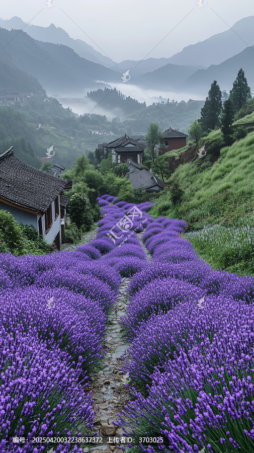 紫花