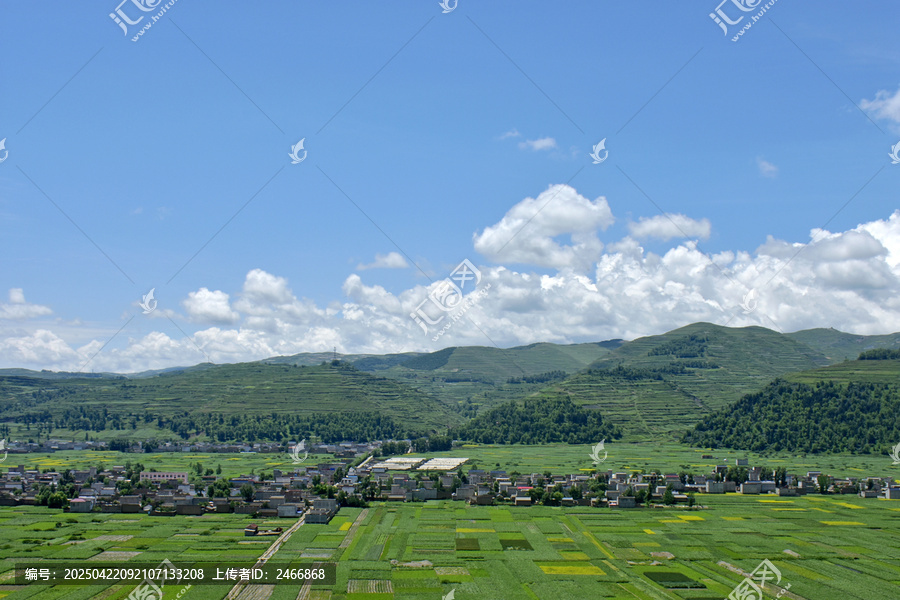 鄉村夏日風光