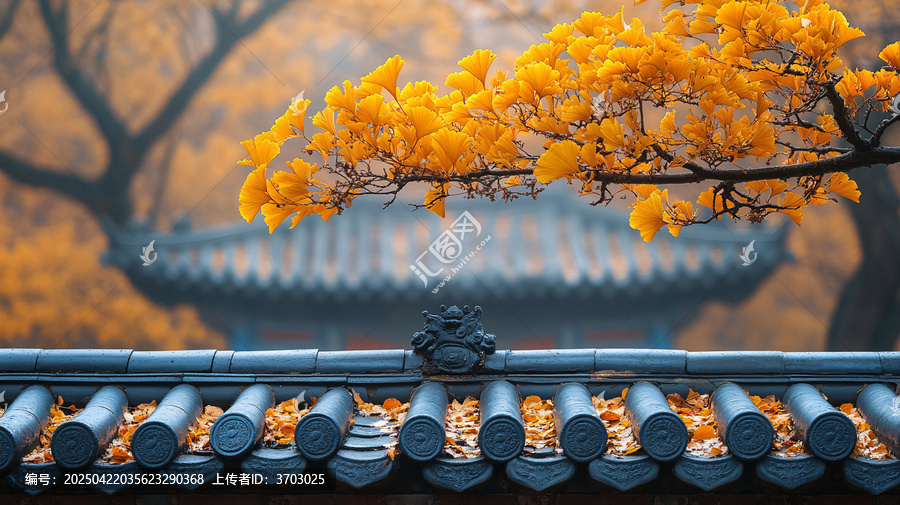 古建筑屋頂上鋪滿金黃銀杏樹(shù)葉