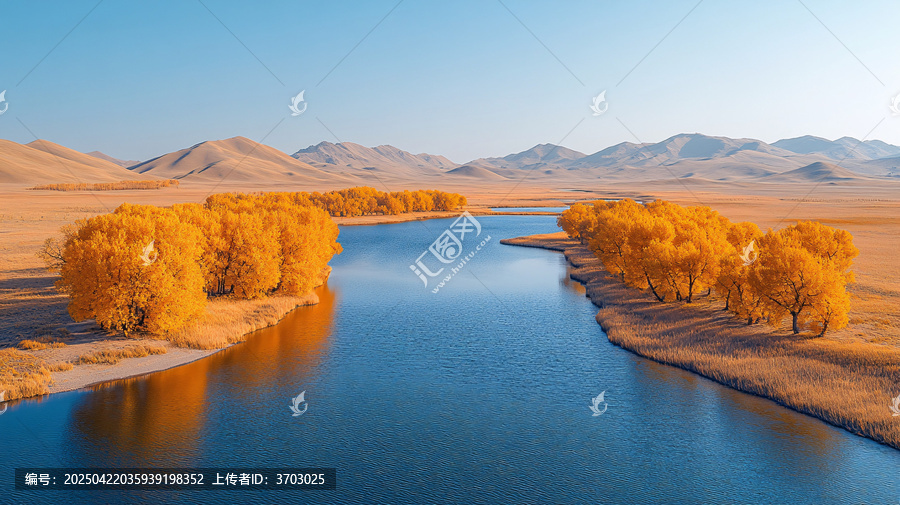 沙漠中河流兩岸的金黃樹林風(fēng)景
