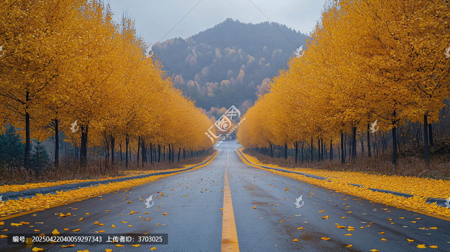 銀杏大道全景金黃落葉鋪滿(mǎn)蜿蜒道路