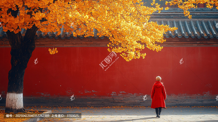 紅墻秋影