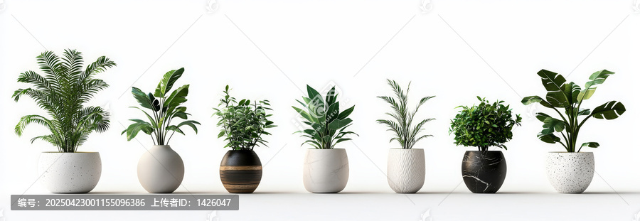 現(xiàn)代植物盆栽擺放
