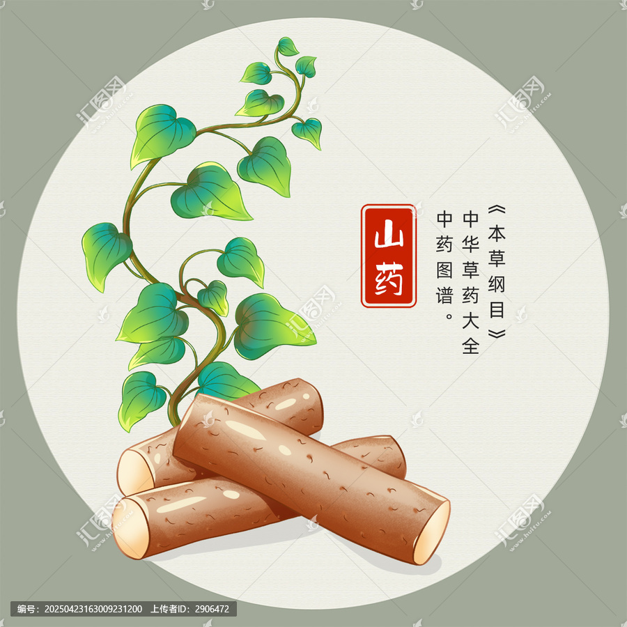 山藥手繪插畫
