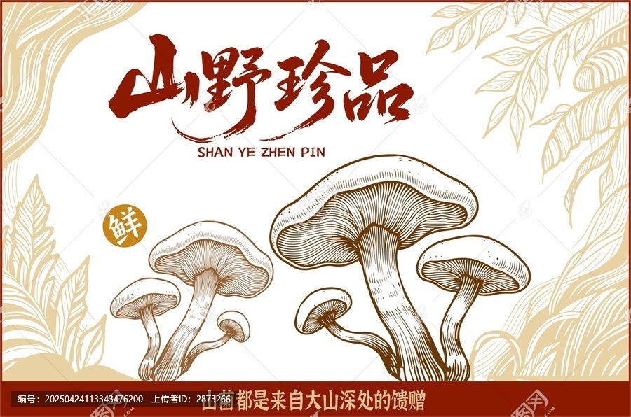 山珍包裝插畫
