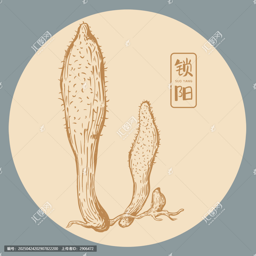鎖陽插畫版畫