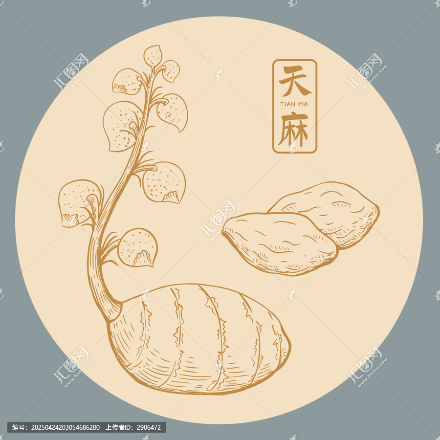 天麻插畫版畫