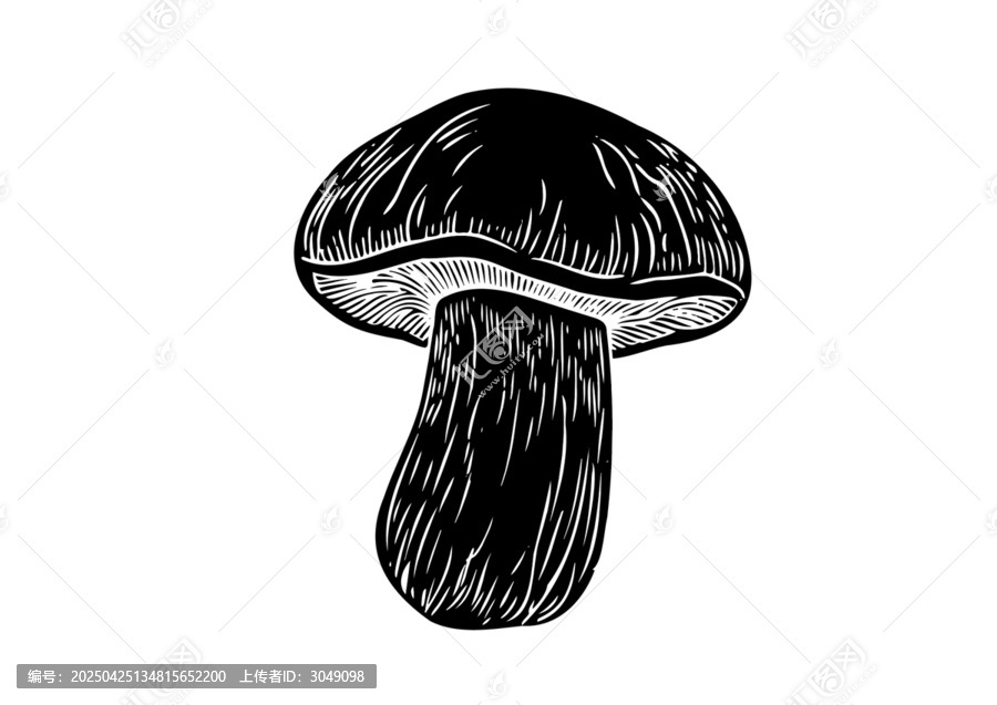 牛肝菌版畫