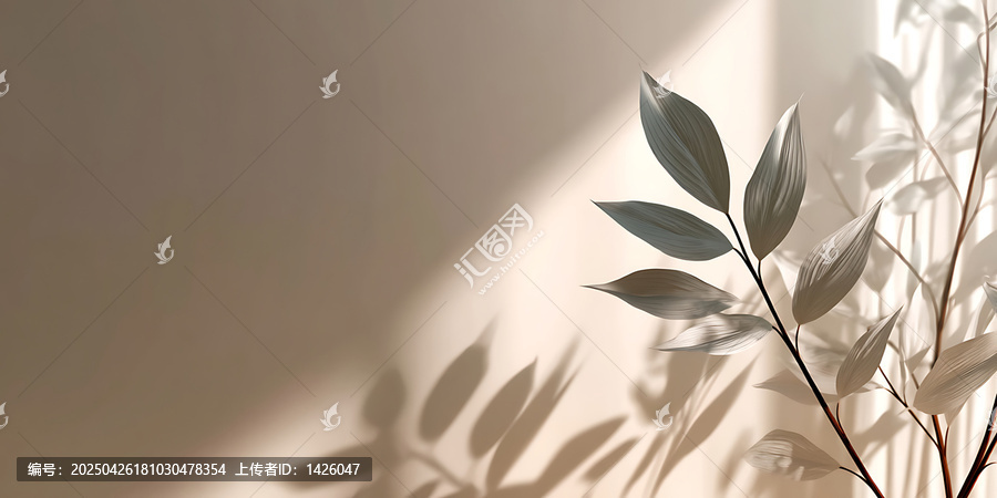自然光影下的優(yōu)雅枝葉