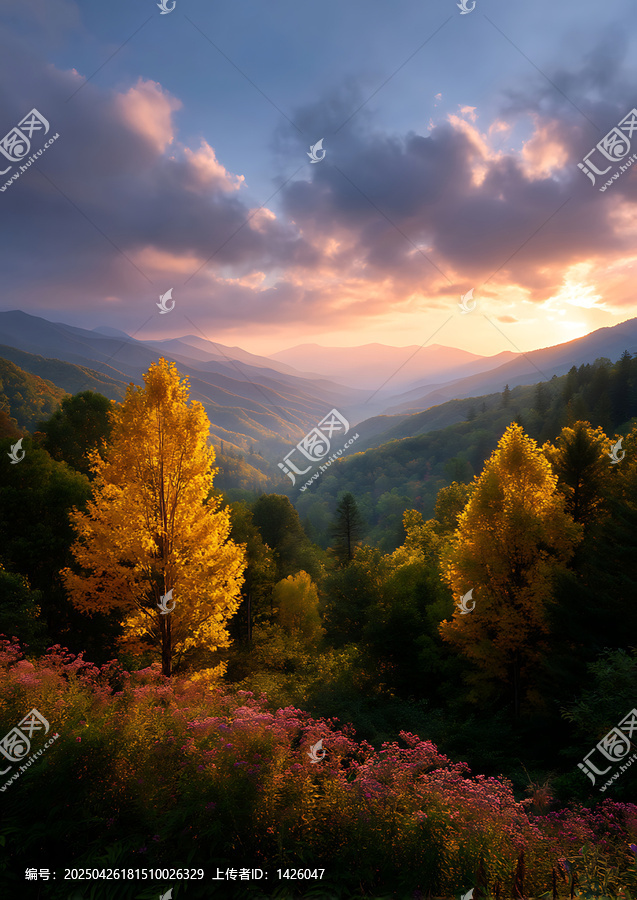 秋日山谷日落美景