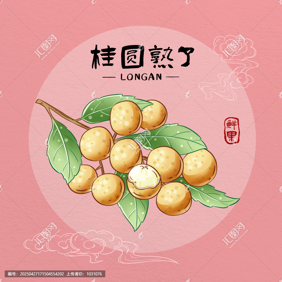 桂圓龍眼插畫