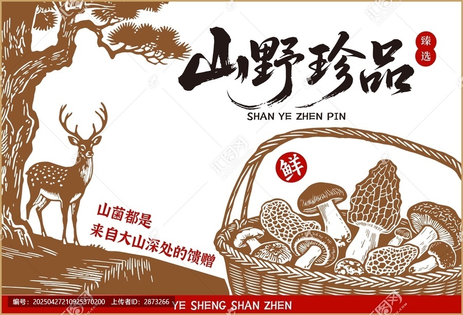山珍菌菇包裝插畫(huà)