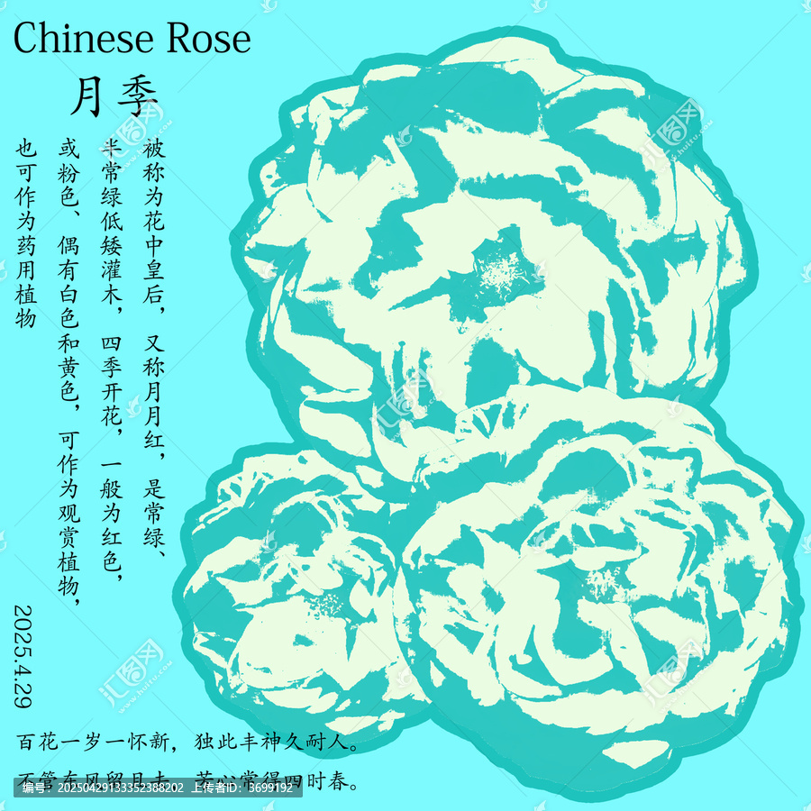 水墨風(fēng)月季花卉插畫