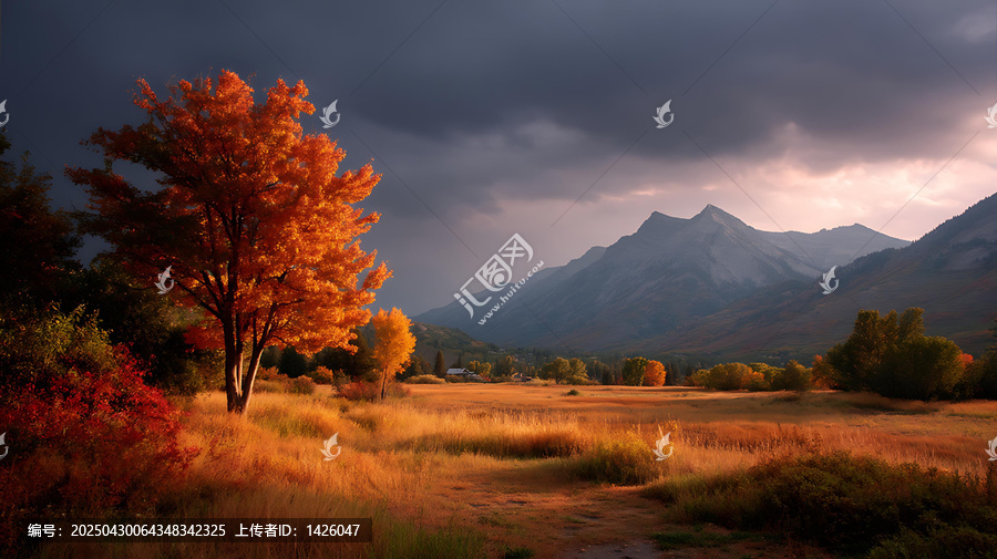 秋日山谷金色田野美景