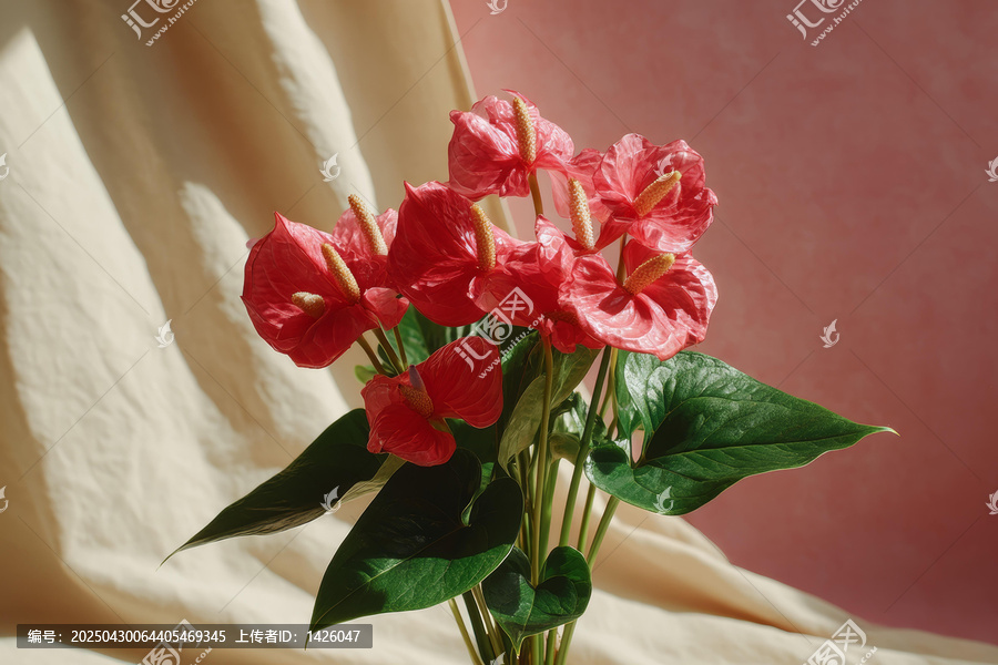 工作室粉色花卉花束