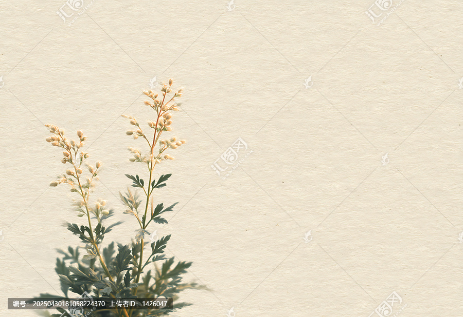 素雅花卉背景圖