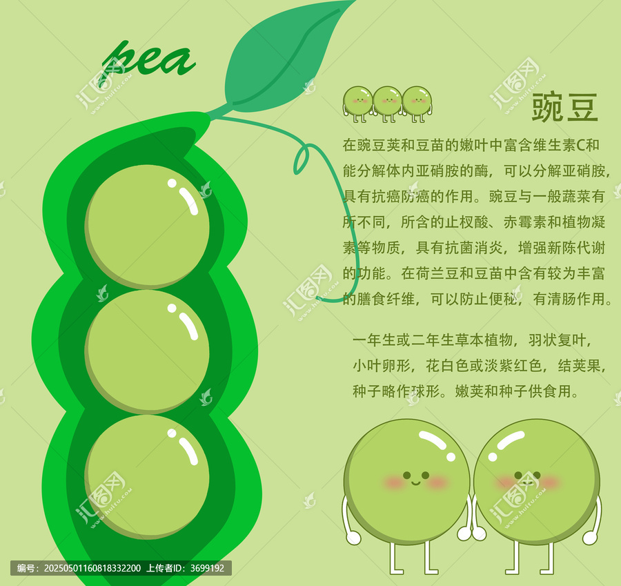 可愛豌豆插畫及營(yíng)養(yǎng)科普