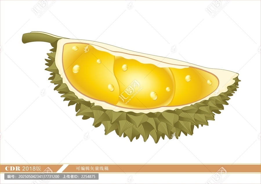 切開的卡通風(fēng)格榴蓮插畫