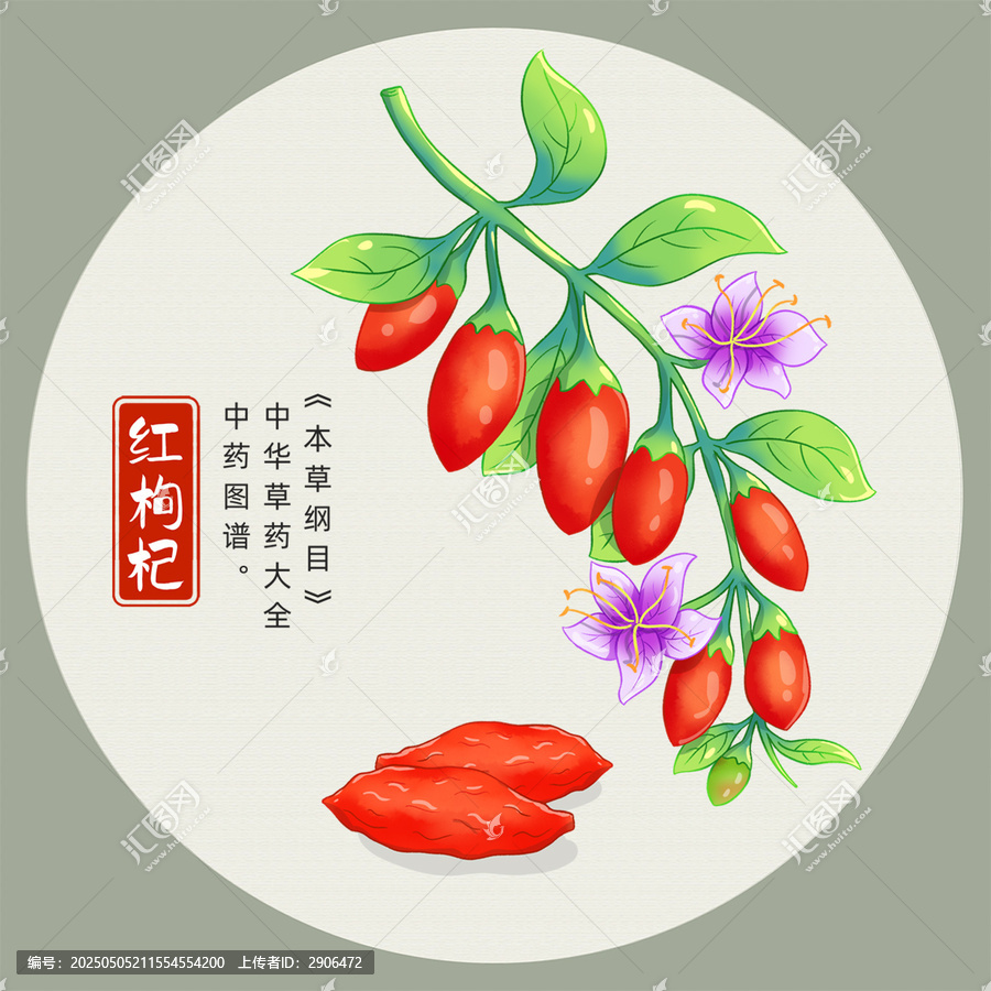 紅枸杞插畫手繪