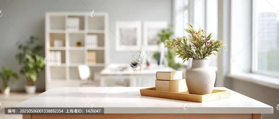 現(xiàn)代簡約辦公室內(nèi)景植物擺設(shè)