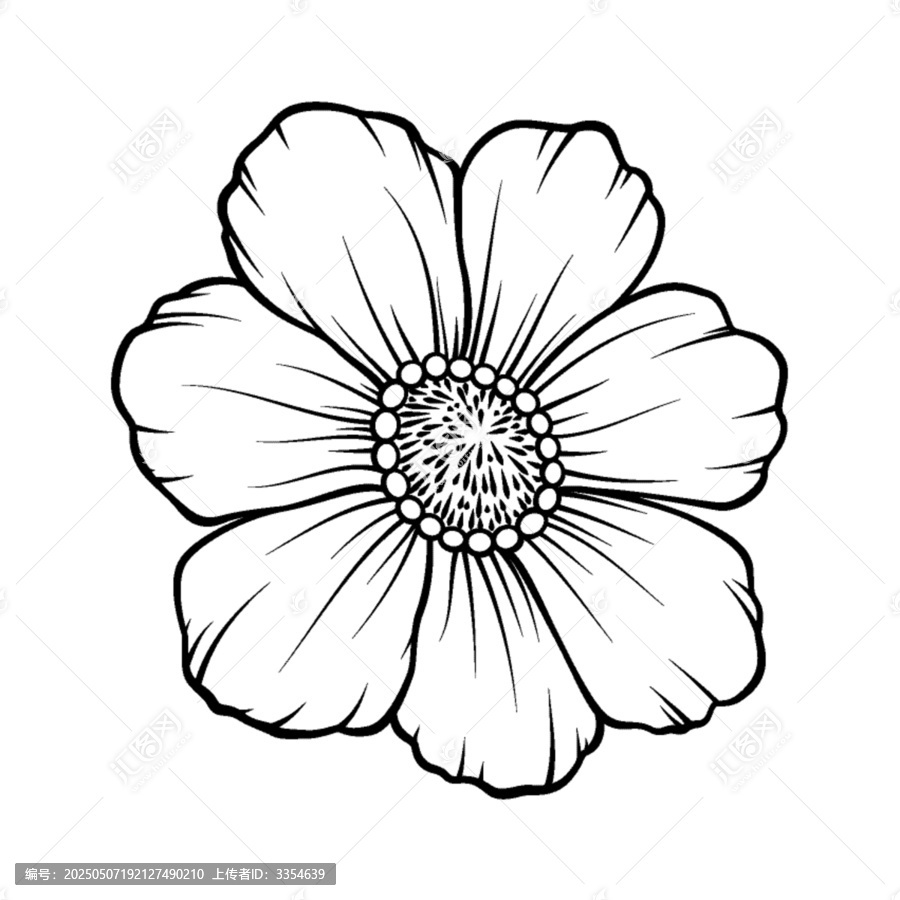 簡(jiǎn)約手繪單朵波斯菊?qǐng)D案