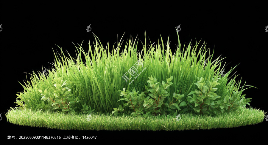 綠草地和植物的黑色背景