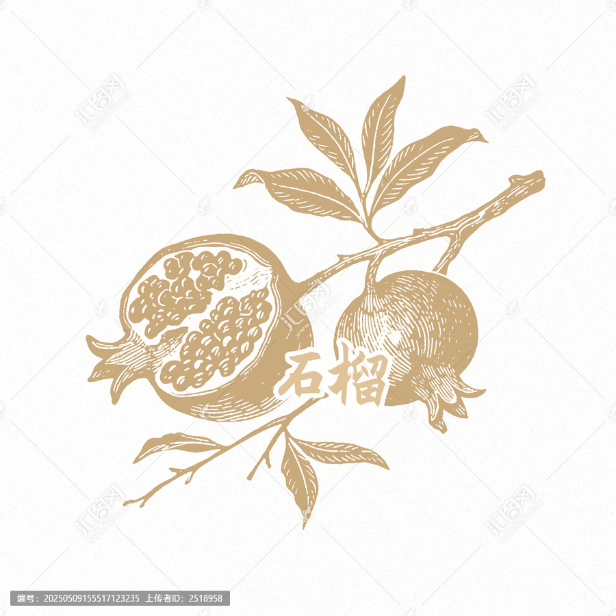 石榴包裝插畫