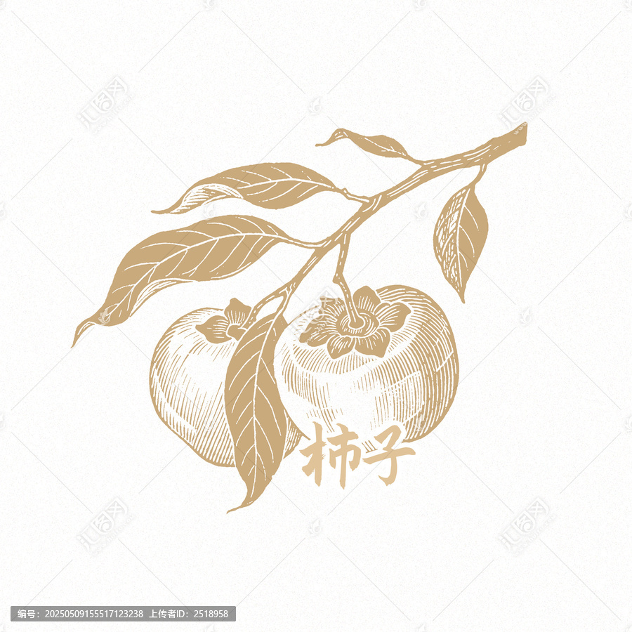 柿子
