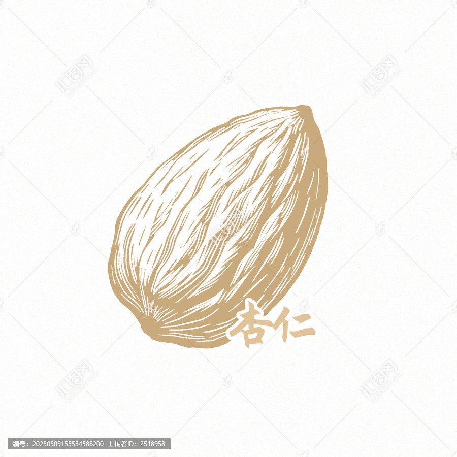 杏仁素材