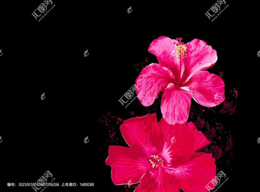 黑底花朵