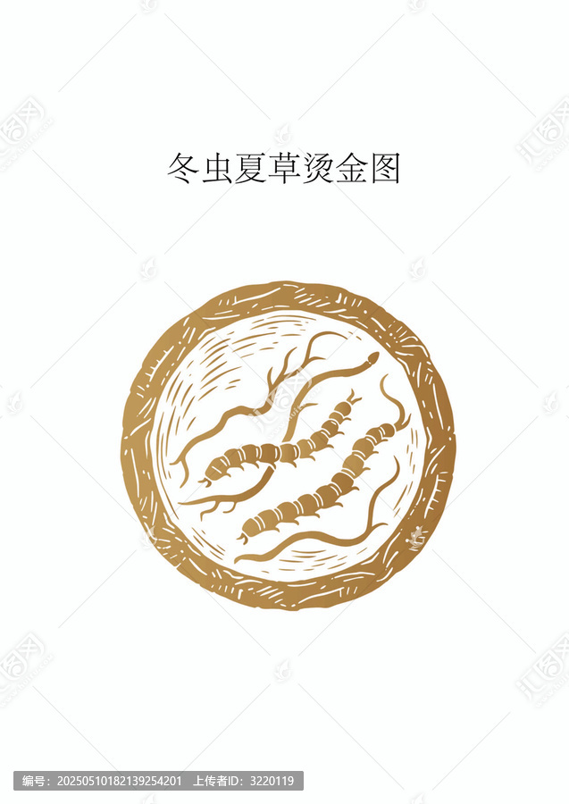 冬蟲(chóng)夏草燙金圖