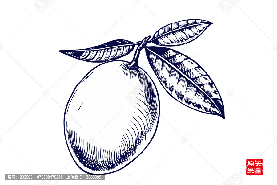 手繪簡約芒果插畫素材