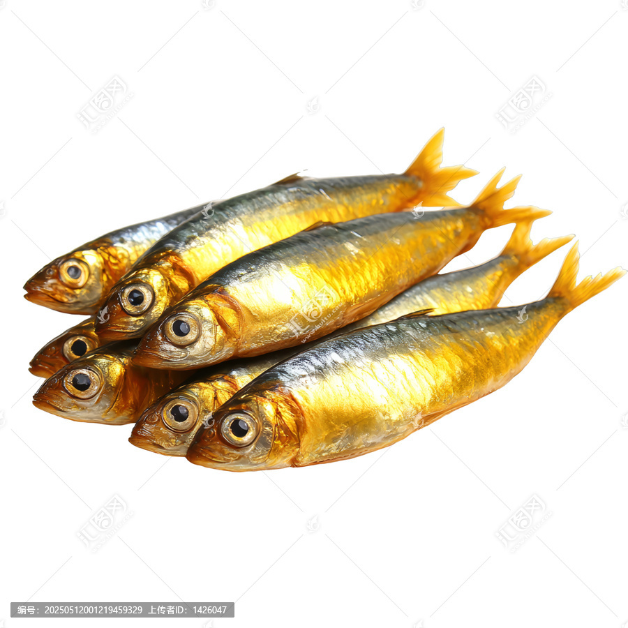 [免摳素材]煙熏沙丁魚特寫圖片展示