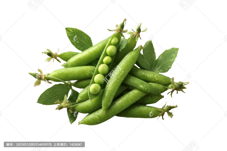 [免摳素材]新鮮綠豌豆與葉子