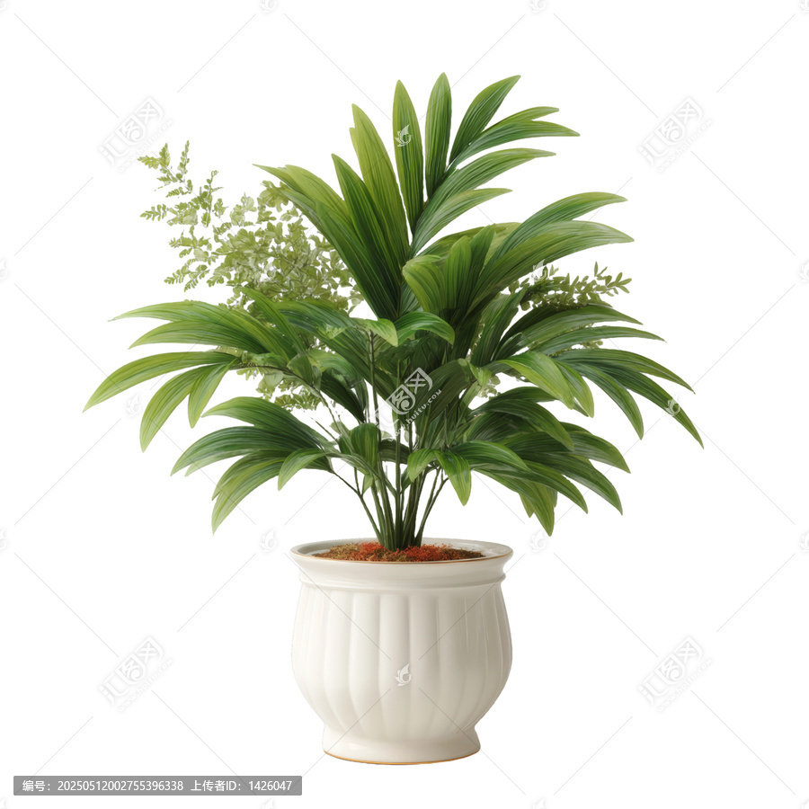 [免摳素材]盆栽綠植裝飾圖片