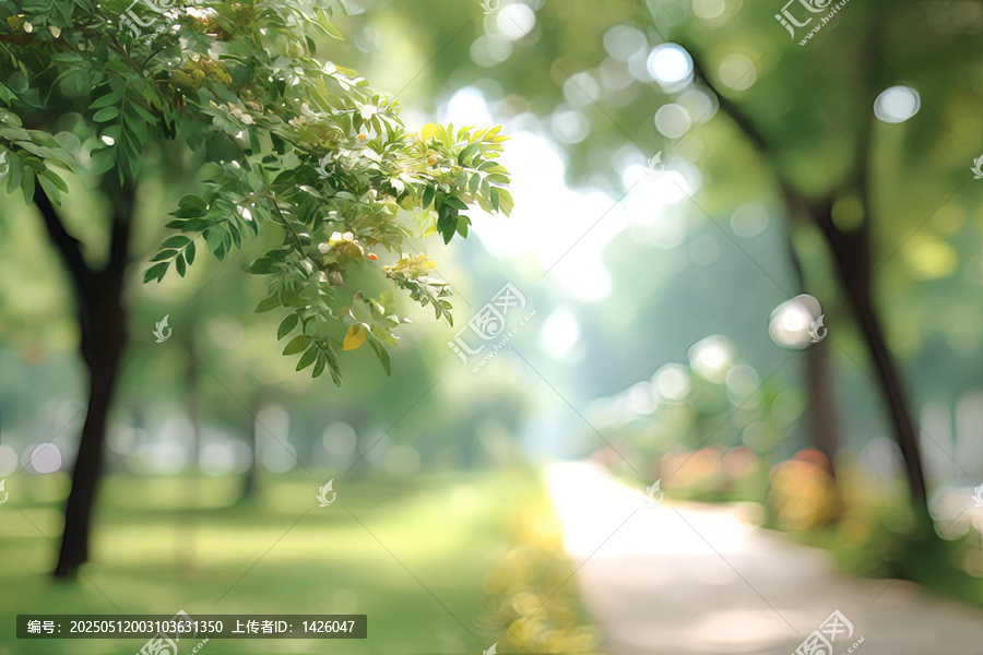 公園小路綠樹成蔭