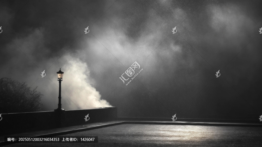 朦朧夜色下的路燈黑白