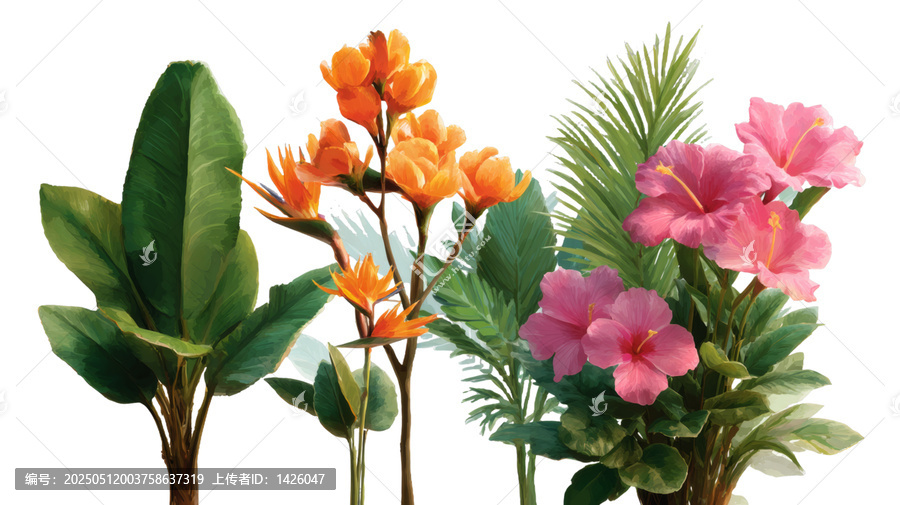 [免摳素材]熱帶花卉組合