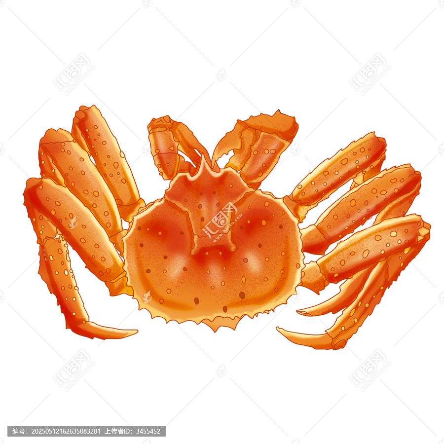 帝王蟹插畫