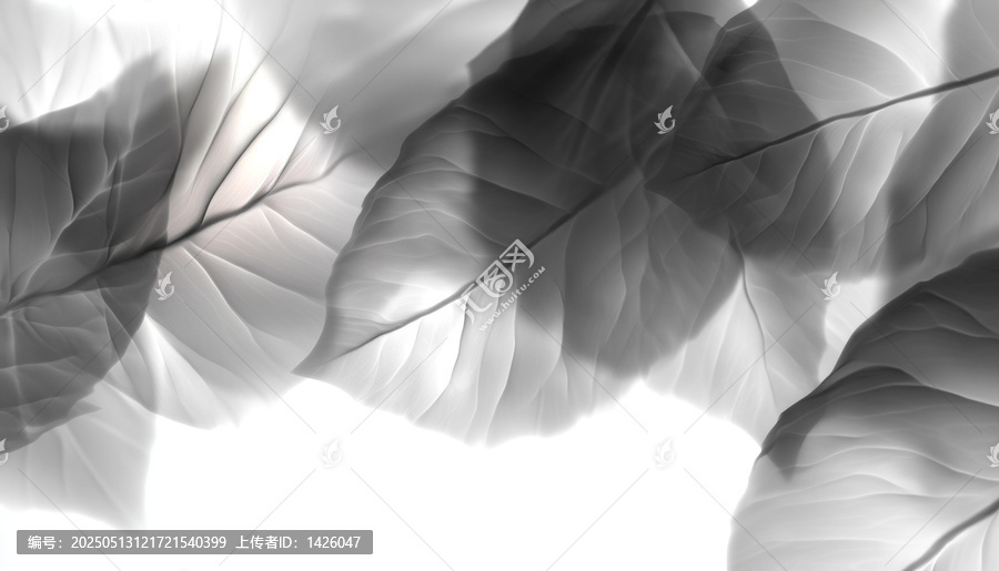 黑白抽象植物葉片紋理