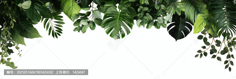 熱帶綠色植物葉子邊框設(shè)計(jì)