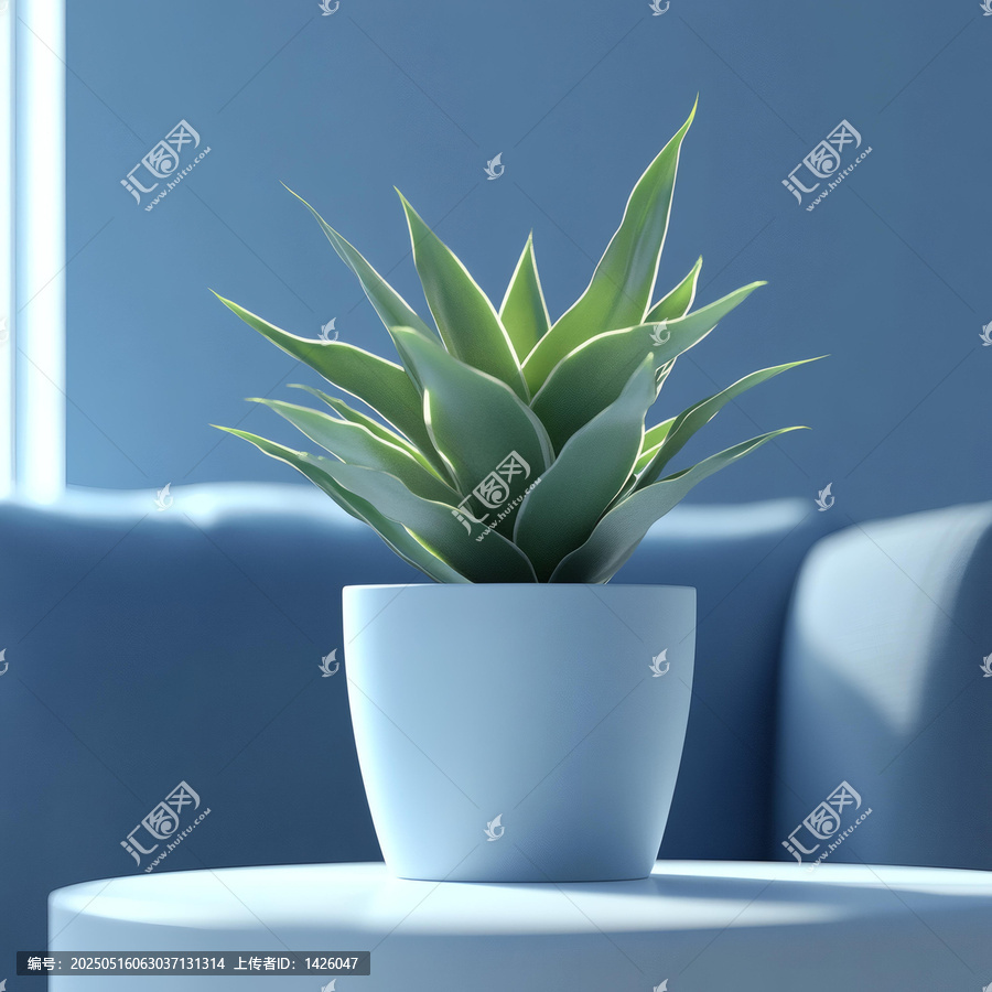 現(xiàn)代簡約風(fēng)格的藍(lán)色花盆綠植