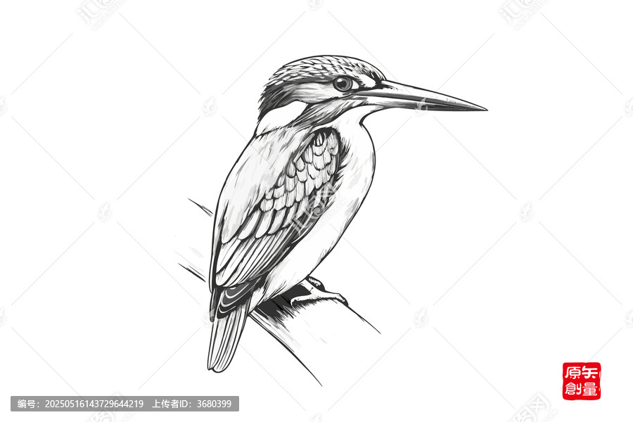手繪棲息枝頭的翠鳥