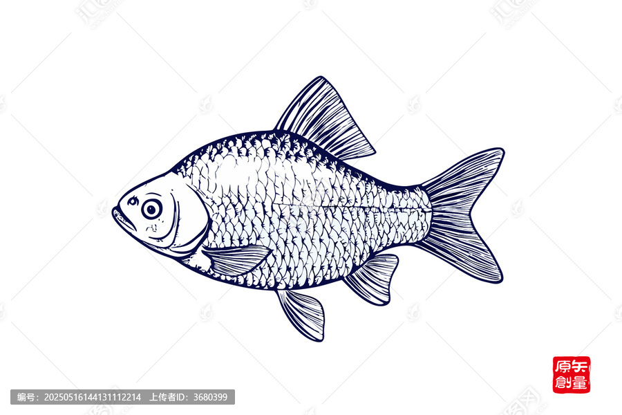 手繪線條風(fēng)的鯽魚圖案