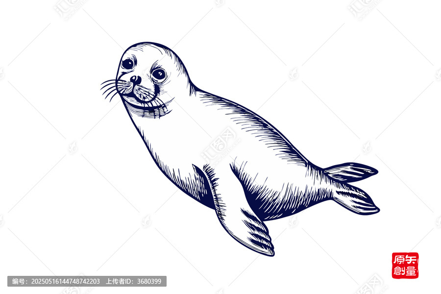 手繪可愛海豹插畫圖案
