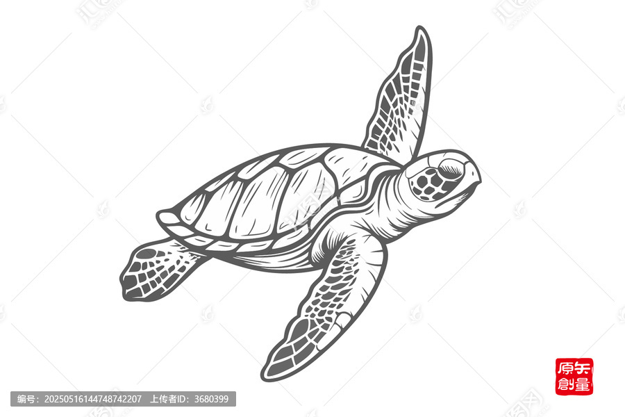 手繪線條風(fēng)遨游的大海龜