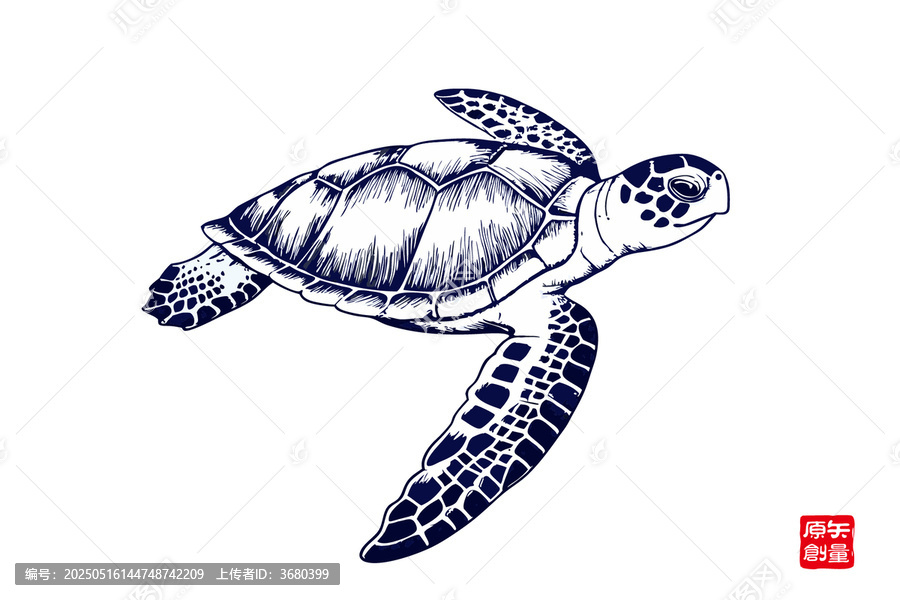 手繪海洋海龜圖案