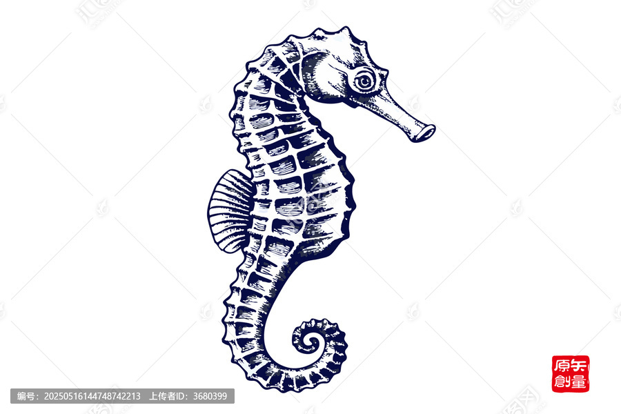 手繪線條風(fēng)海馬圖案