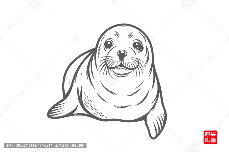 可愛簡約線條風(fēng)小海豹插畫