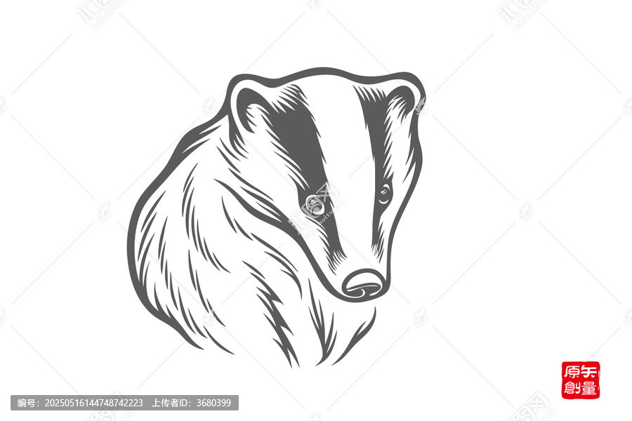 獾的簡約黑白線條插畫